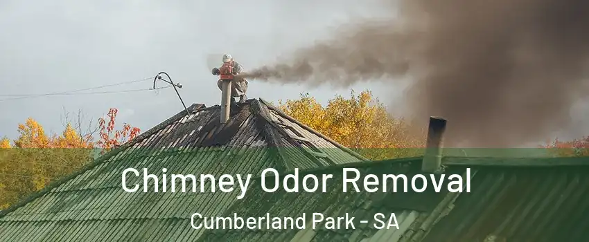 Chimney Odor Removal Cumberland Park - SA