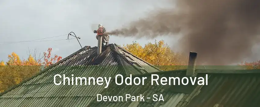 Chimney Odor Removal Devon Park - SA