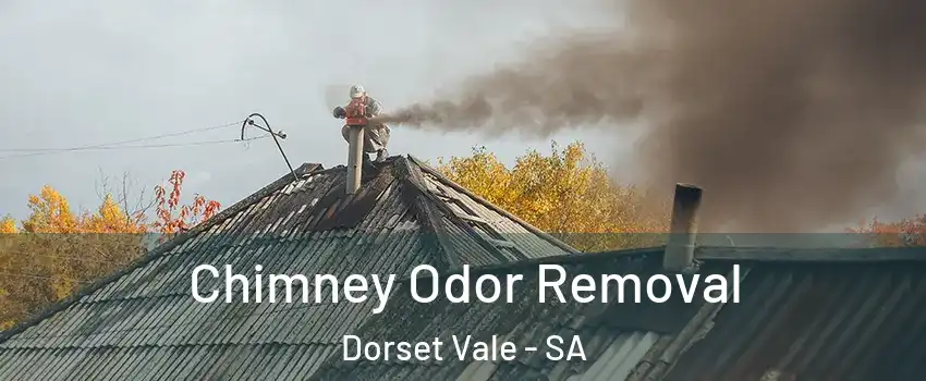 Chimney Odor Removal Dorset Vale - SA