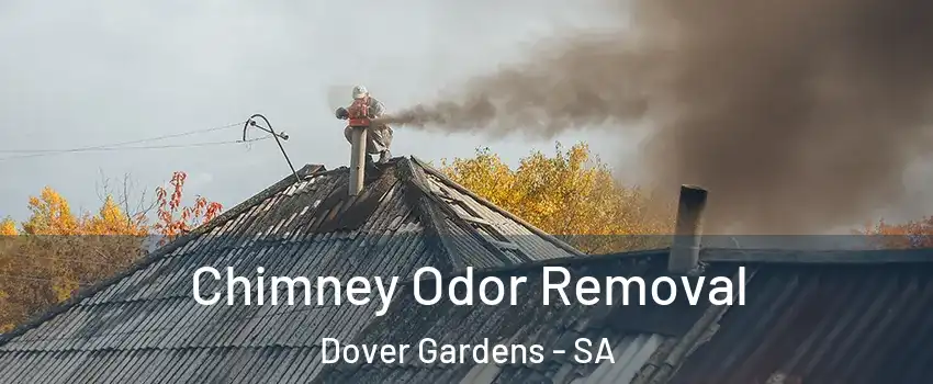 Chimney Odor Removal Dover Gardens - SA
