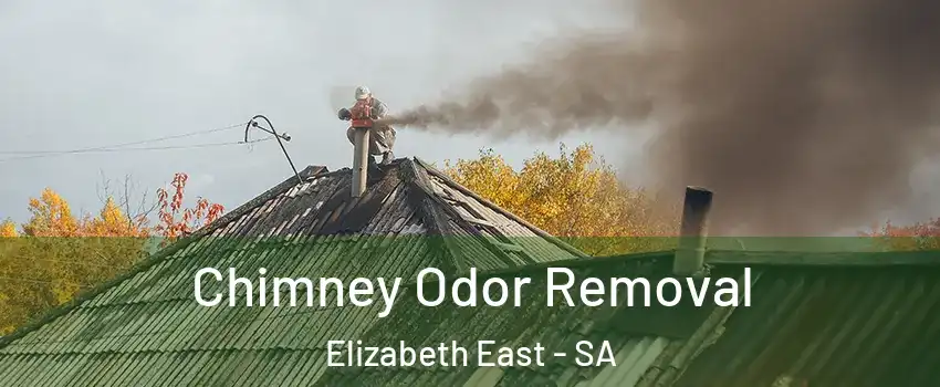 Chimney Odor Removal Elizabeth East - SA
