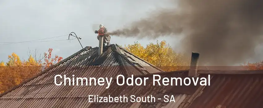Chimney Odor Removal Elizabeth South - SA