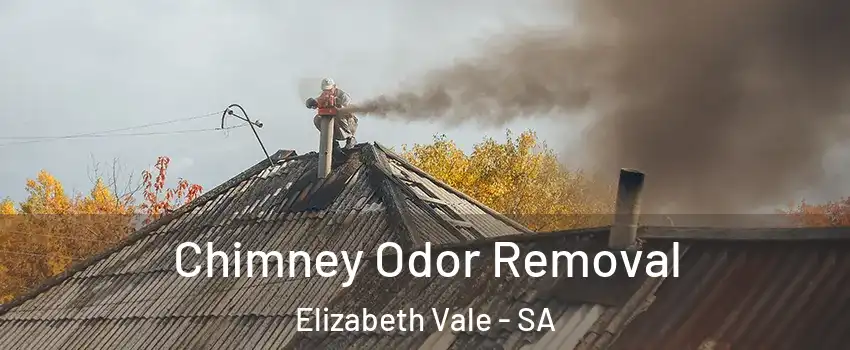 Chimney Odor Removal Elizabeth Vale - SA