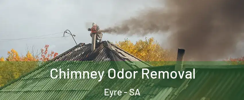 Chimney Odor Removal Eyre - SA