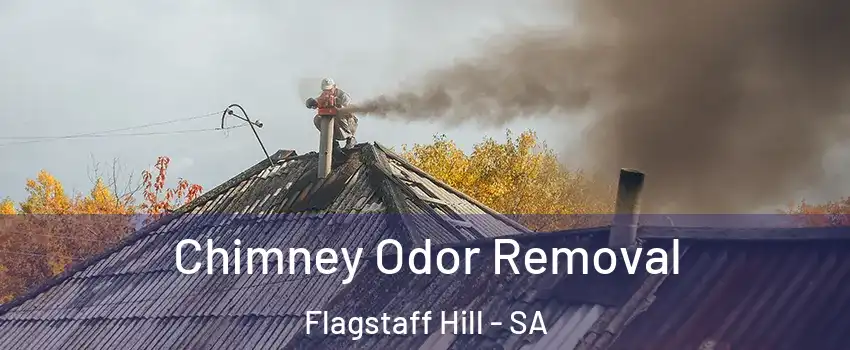 Chimney Odor Removal Flagstaff Hill - SA