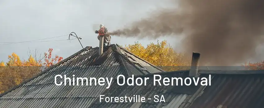 Chimney Odor Removal Forestville - SA