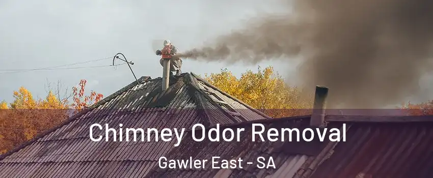 Chimney Odor Removal Gawler East - SA