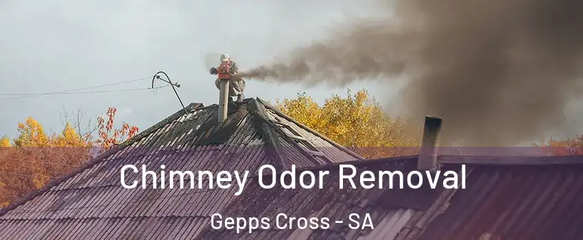 Chimney Odor Removal Gepps Cross - SA