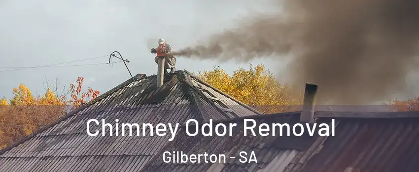 Chimney Odor Removal Gilberton - SA