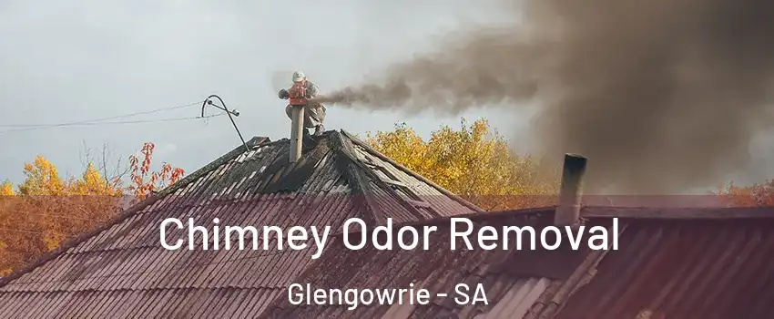 Chimney Odor Removal Glengowrie - SA