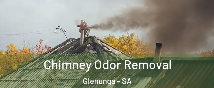 Chimney Odor Removal Glenunga - SA
