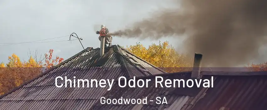 Chimney Odor Removal Goodwood - SA