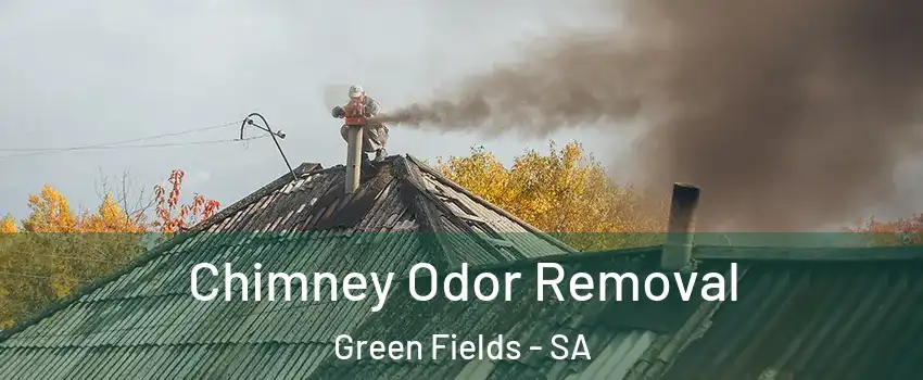 Chimney Odor Removal Green Fields - SA