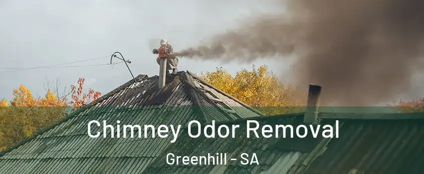 Chimney Odor Removal Greenhill - SA