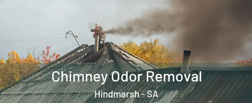 Chimney Odor Removal Hindmarsh - SA