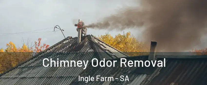  Chimney Odor Removal Ingle Farm - SA