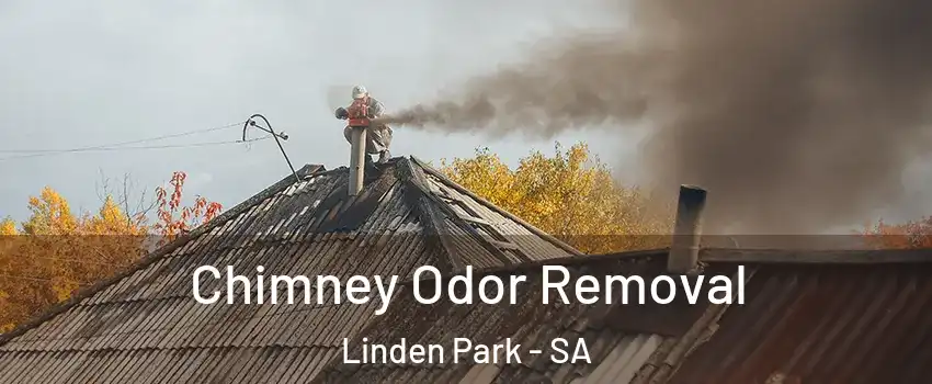  Chimney Odor Removal Linden Park - SA