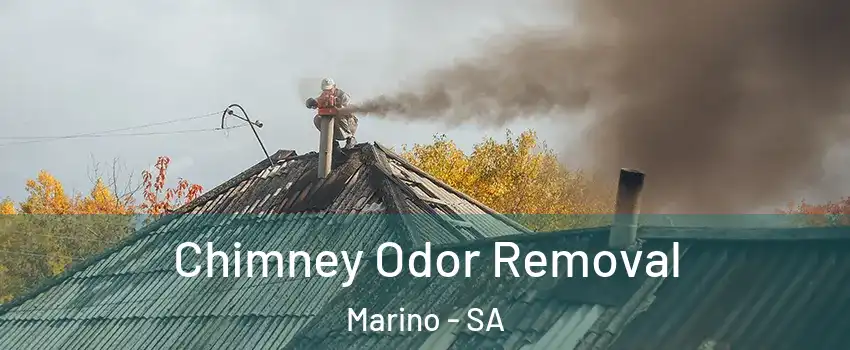  Chimney Odor Removal Marino - SA