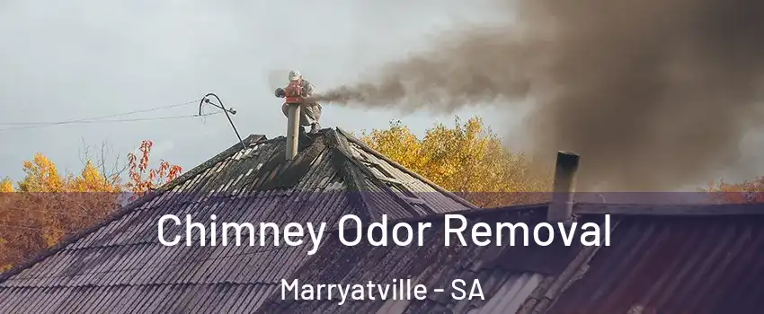  Chimney Odor Removal Marryatville - SA