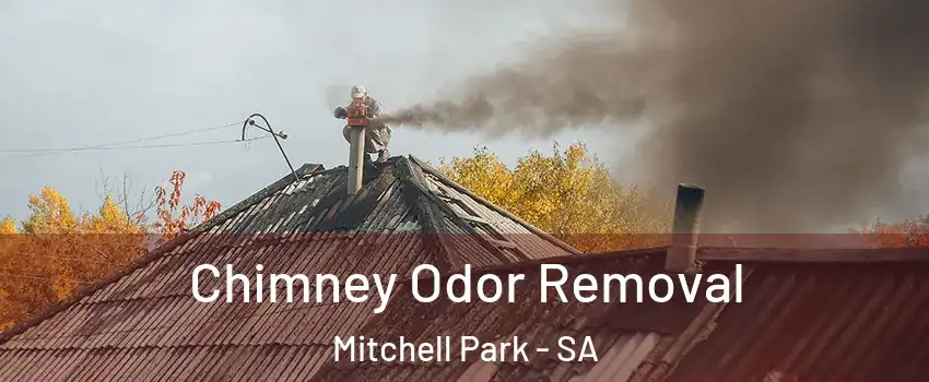  Chimney Odor Removal Mitchell Park - SA