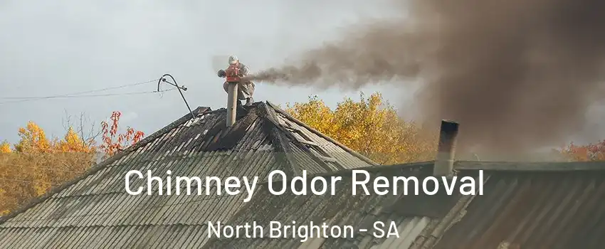  Chimney Odor Removal North Brighton - SA