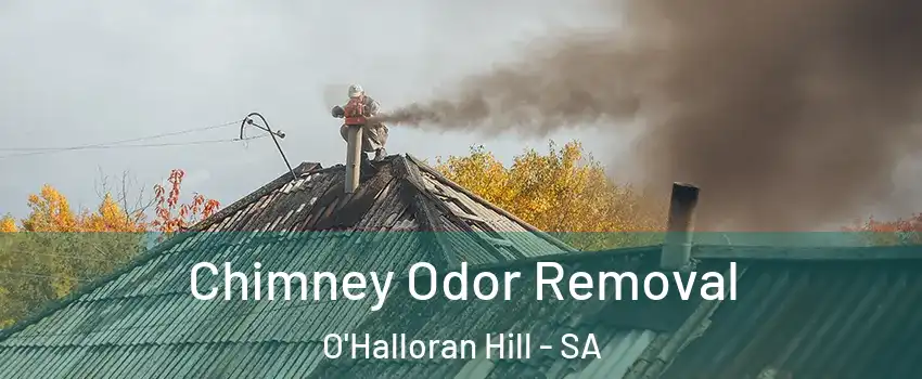  Chimney Odor Removal O'Halloran Hill - SA
