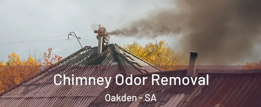  Chimney Odor Removal Oakden - SA