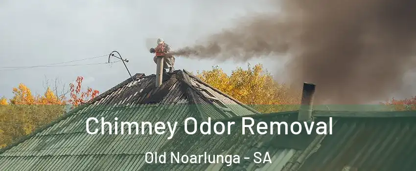  Chimney Odor Removal Old Noarlunga - SA