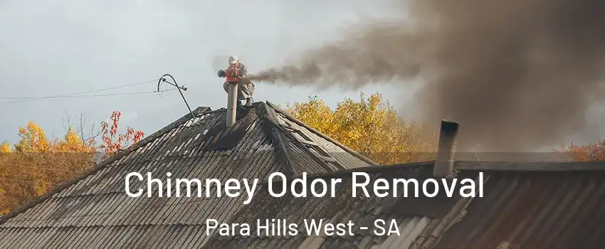  Chimney Odor Removal Para Hills West - SA