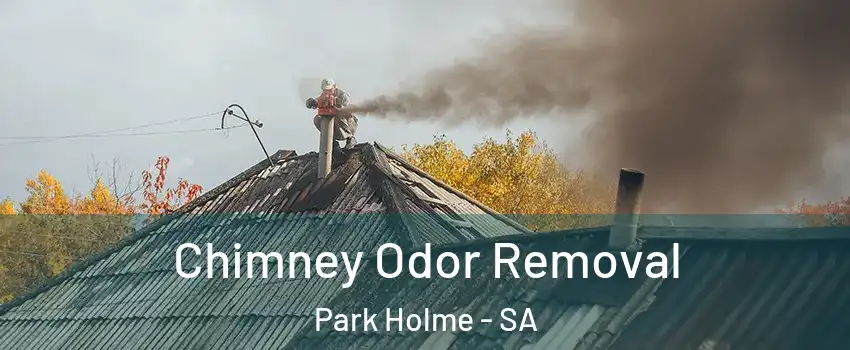  Chimney Odor Removal Park Holme - SA