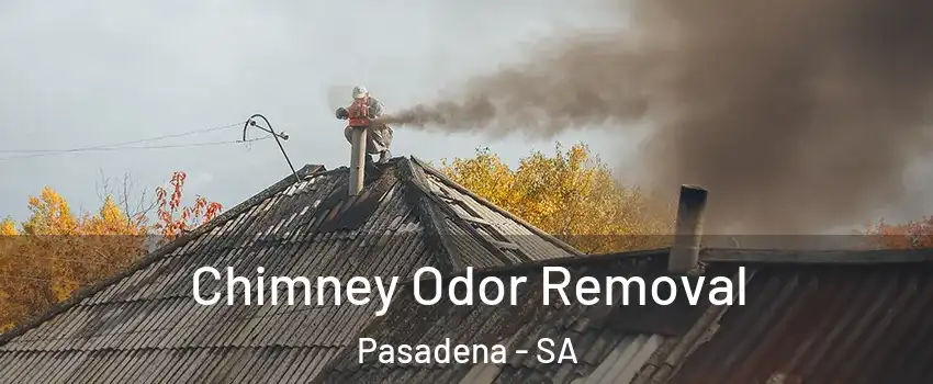 Chimney Odor Removal Pasadena - SA
