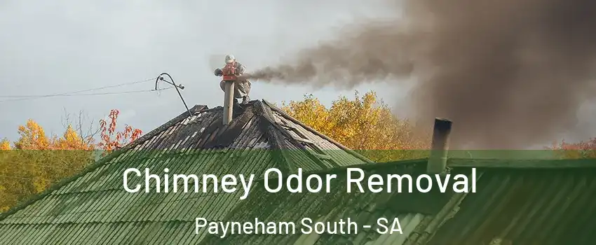  Chimney Odor Removal Payneham South - SA