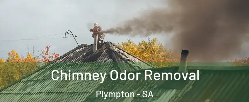Chimney Odor Removal Plympton - SA