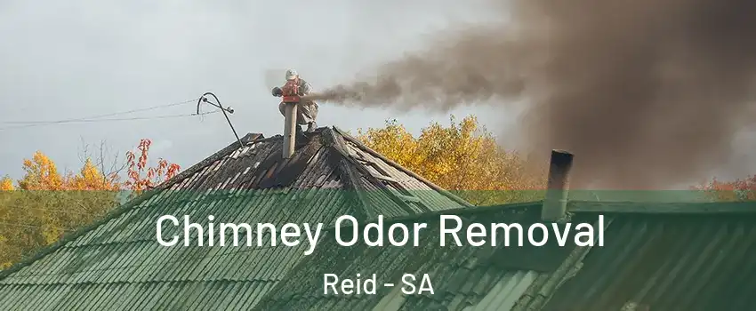 Chimney Odor Removal Reid - SA