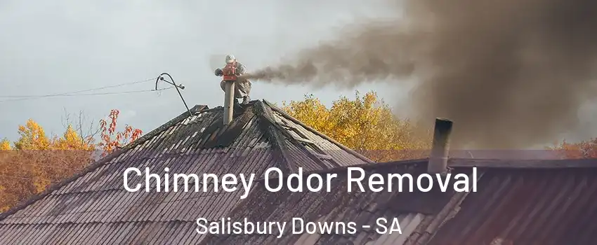  Chimney Odor Removal Salisbury Downs - SA