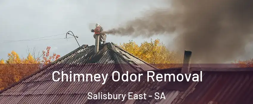 Chimney Odor Removal Salisbury East - SA