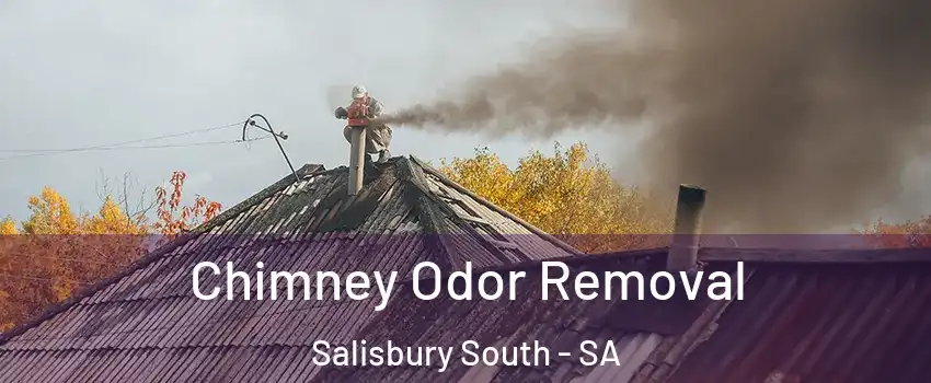  Chimney Odor Removal Salisbury South - SA