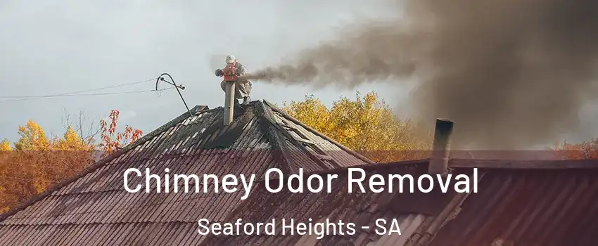  Chimney Odor Removal Seaford Heights - SA