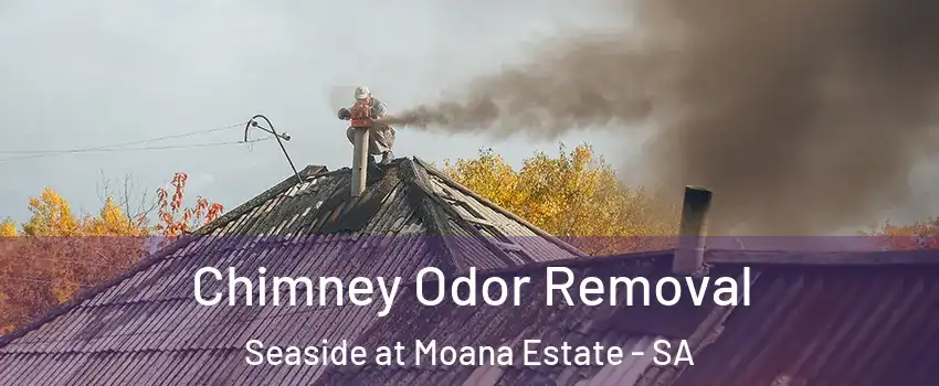  Chimney Odor Removal Seaside at Moana Estate - SA