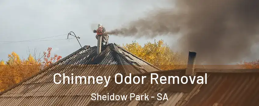 Chimney Odor Removal Sheidow Park - SA