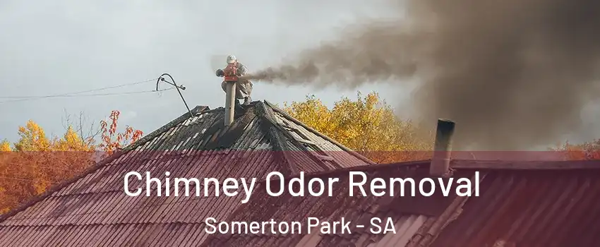 Chimney Odor Removal Somerton Park - SA