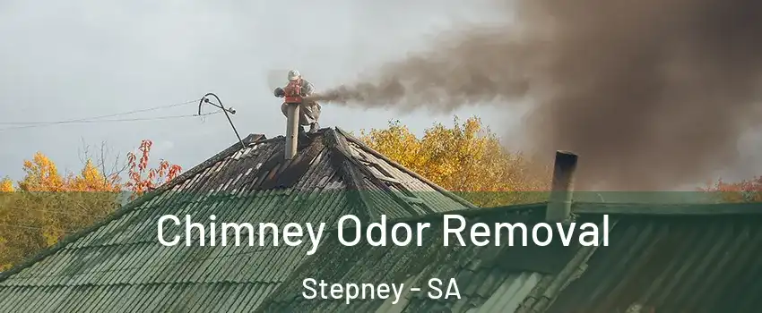  Chimney Odor Removal Stepney - SA