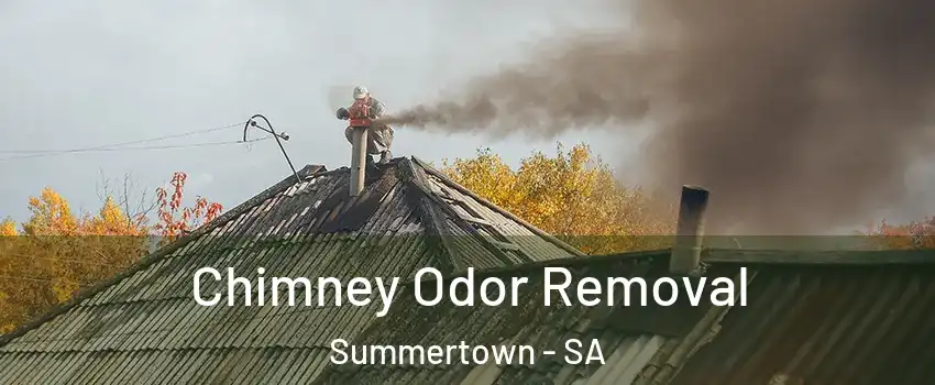  Chimney Odor Removal Summertown - SA