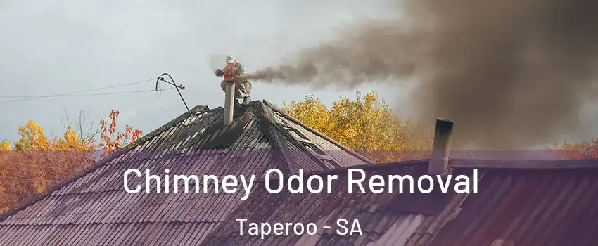  Chimney Odor Removal Taperoo - SA