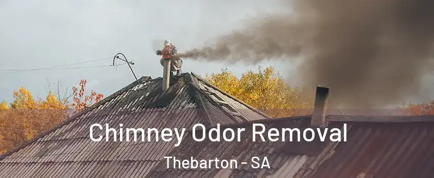  Chimney Odor Removal Thebarton - SA