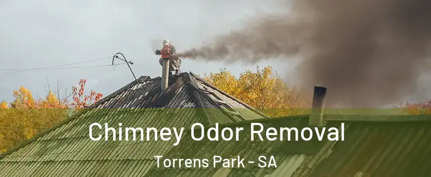  Chimney Odor Removal Torrens Park - SA