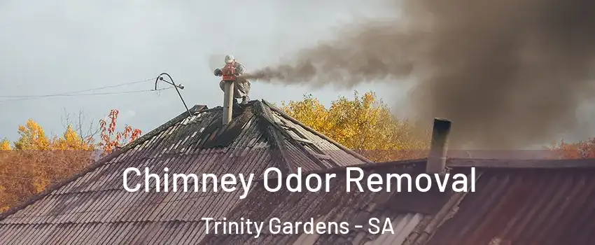  Chimney Odor Removal Trinity Gardens - SA