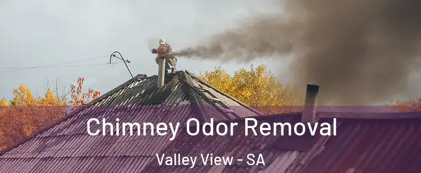  Chimney Odor Removal Valley View - SA