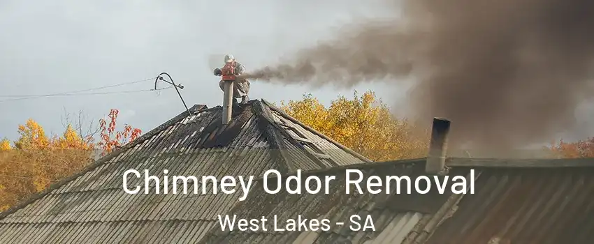  Chimney Odor Removal West Lakes - SA