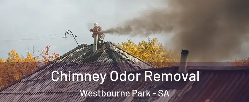  Chimney Odor Removal Westbourne Park - SA